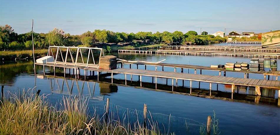 Chez David - Restaurant Gujan-Mestras - restaurant LA TESTE-DE-BUCH