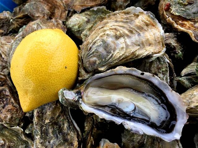 L'histoire - Chez David - Restaurant Gujan-Mestras - meilleur resto GUJAN-MESTRAS